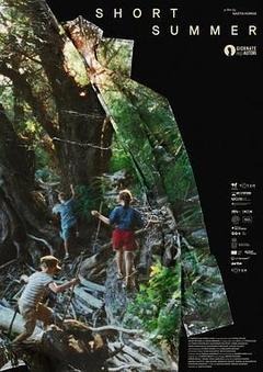 短暂的夏天